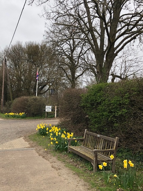 bench outside hall entrance, Ugley village