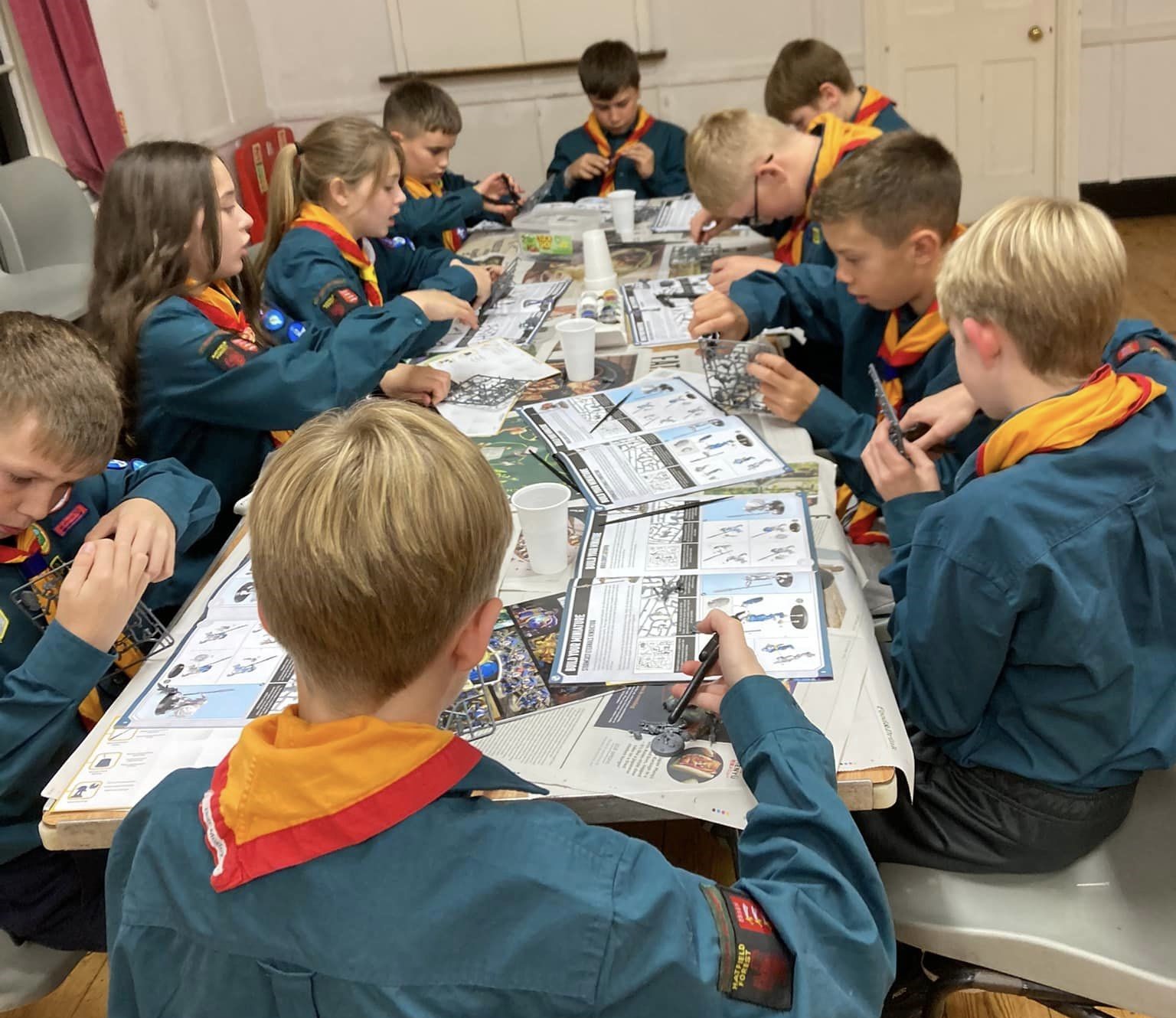 Scout Group Meet