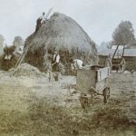 Farming, hay